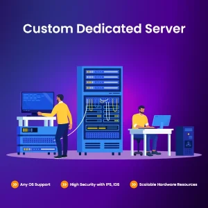Custom Dedicated Server