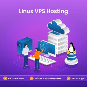 Linux VPS Hosting