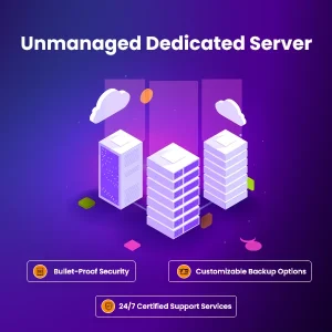 Unmanaged Dedicated Server