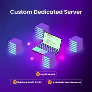 Custom Dedicated Server