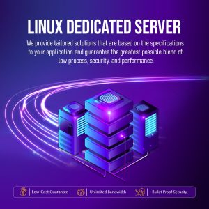 Linux VPS Hosting